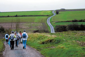 Randonnées de l'office de tourisme 